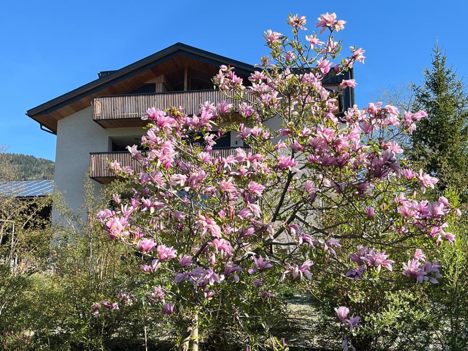 Oberfallerhof Apartment Ummi Barbiano  Exterior foto